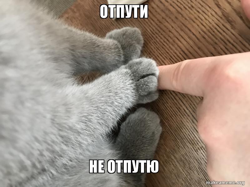 🖼