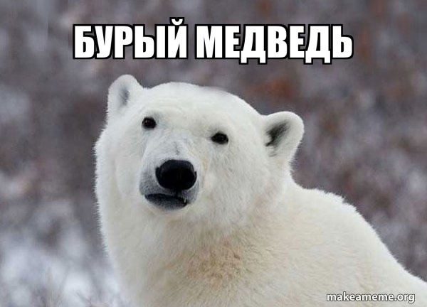 Popular Opinion Polar Bear meme