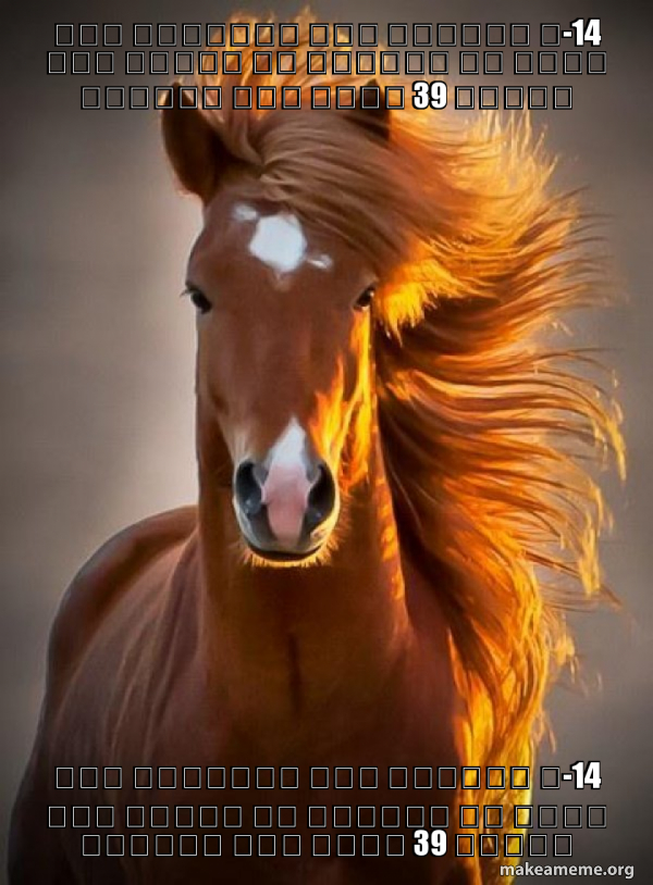 Ridiculously photogenic horse meme