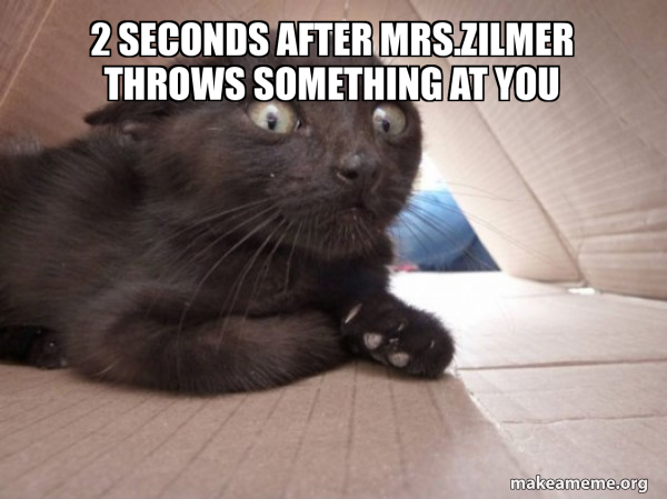 Schitzo Cat meme