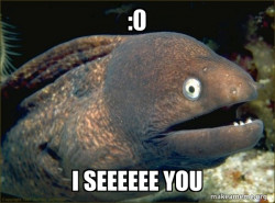 Bad Joke Eel