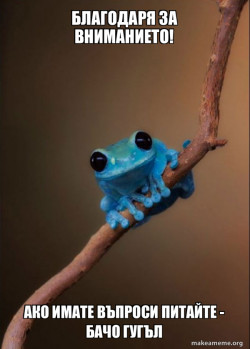 Small Fact Frog