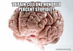 Scumbag Brain