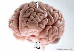 Scumbag Brain