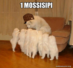 Scumbag Storytelling Dog