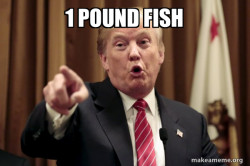 Donald Trump Says
