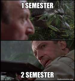 Clever Girl