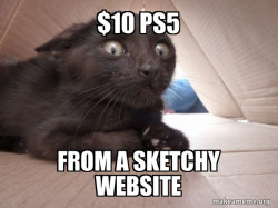 Schitzo Cat