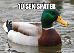 Actual Advice Mallard