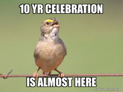 Common Opinion Sparrow