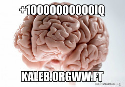 Scumbag Brain