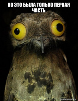 Weird Stuff I do Potoo