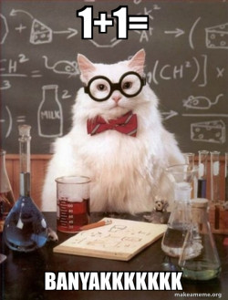 Chemistry Cat
