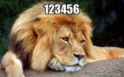 Confession Lion