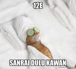 Pampered Cat Meme