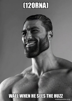 wael when he sees the huzz