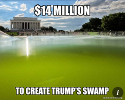 14 million swamp