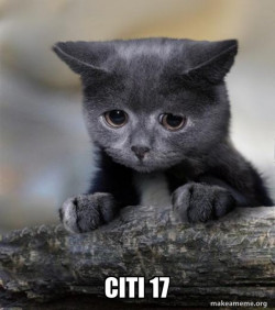 Confession Cat