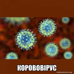 Coronavirus ( COVID-19 )