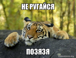 Confession Tiger