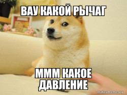 Doge