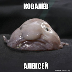 Blobfish