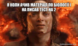 Frodo it's over it's done