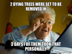 Internet Grandma