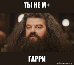 Hagrid - I should not have said that