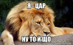 Confession Lion