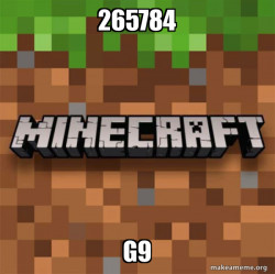 Minecraft