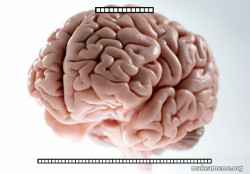 Scumbag Brain