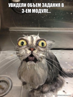 Cat bath