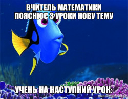 Dory from Nemo  (5 second memory)