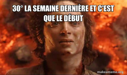 Frodo it's over it's done