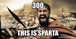The 300