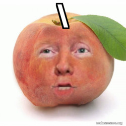 Impeached Donald Trump