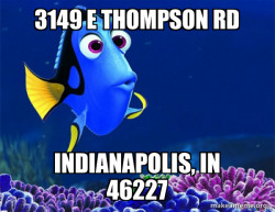 Dory from Nemo  (5 second memory)