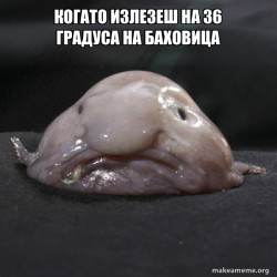 Blobfish