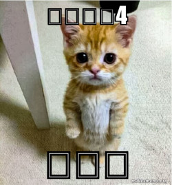 Cute Cat Standing