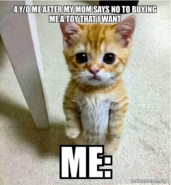 Cute Cat Standing
