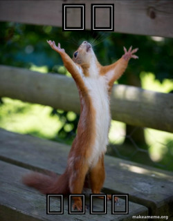Happy Squirrel