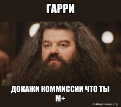 Hagrid - I should not have said that