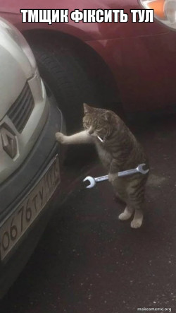Mechanic Cat