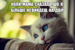 First World Cat Problems