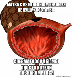 Scumbag Bladder