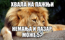 Confession Lion
