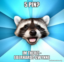 Lame Pun Coon