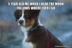 Unsure Dog