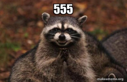Evil Plotting Raccoon